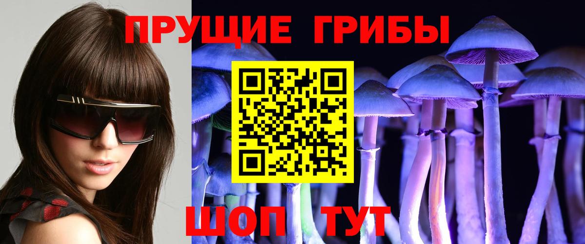 Псилоцибиновые грибы MAGIC MUSHROOMS Орёл